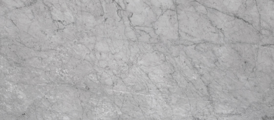 Carrara Silver Honed Marble